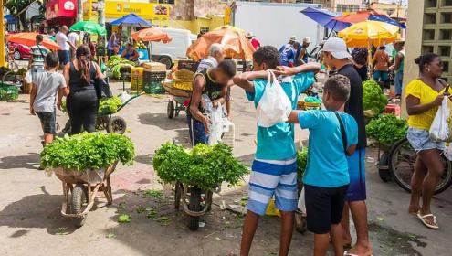  Mãe solteira, Elizabete e os filhos trabalhavam em uma feira livre para sobreviver